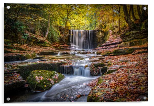 Autumn waterfall. Acrylic by Clive Ingram