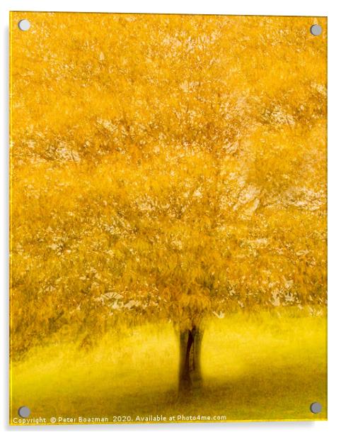 Yellow Burst Acrylic by Peter Boazman