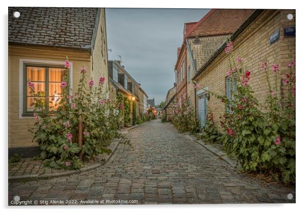Hjortgatan in the old town of Lund is an idyllic lane with holly Acrylic by Stig Alenäs