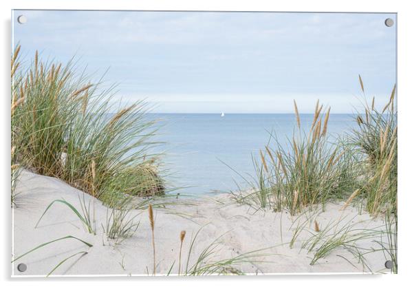 dunes with swaying beach rye and a sailboat at the horizon Acrylic by Stig Alenäs