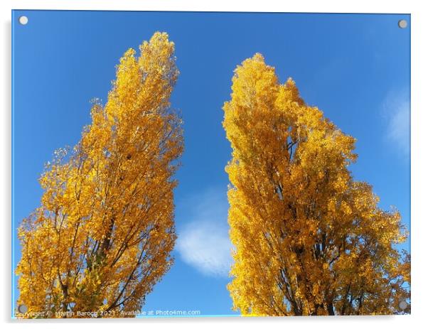 Poplars with Golden Leafs  Acrylic by Martin Baroch