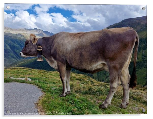 Swiss Alpine cow Acrylic by Martin Baroch