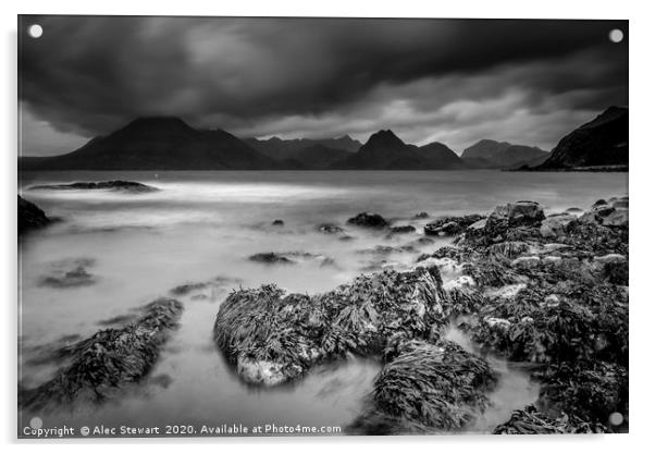 Elgol and the Black Cuillins Acrylic by Alec Stewart
