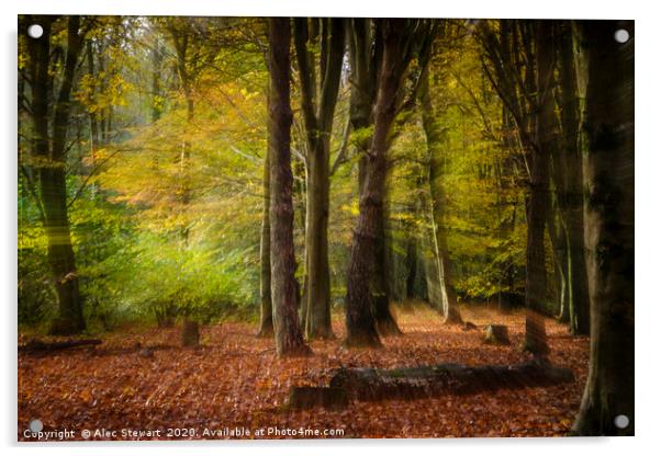 The Magical Forest Acrylic by Alec Stewart