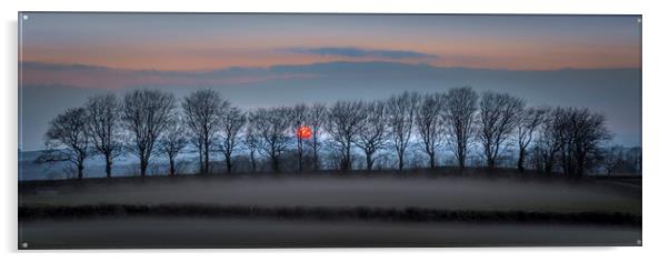 Moorland Tree Silhouettes, Dartmoor, Devon Acrylic by Mick Blakey