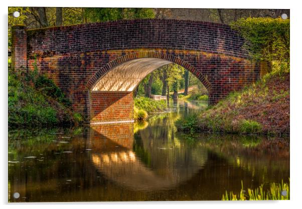 Bridge over Wey and Arun Canal Acrylic by Mark Jones