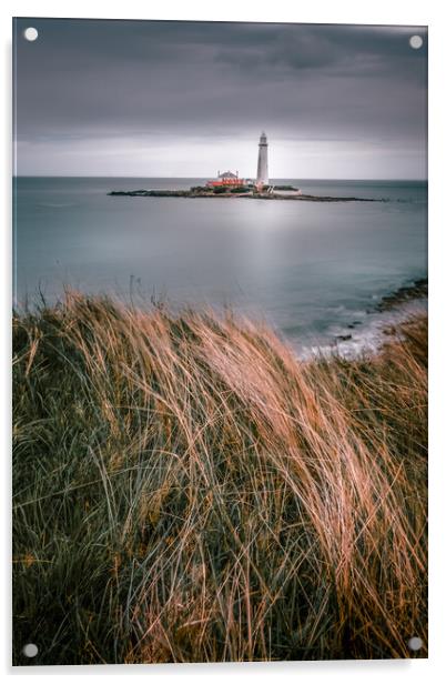 St Mary's Lighthouse Acrylic by Mark Jones