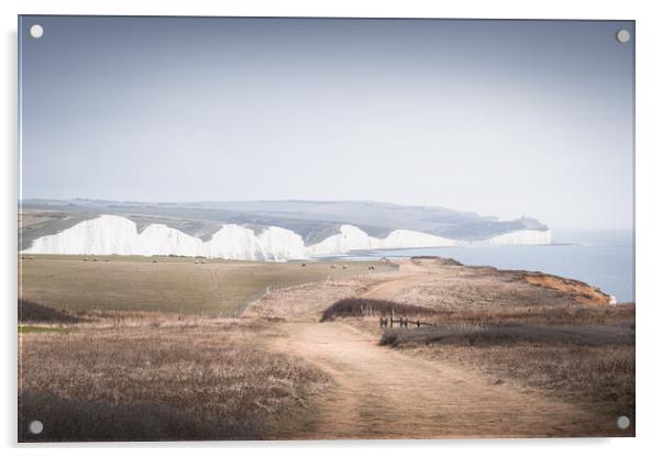 The Seven Sisters from Seaford Head Acrylic by Mark Jones