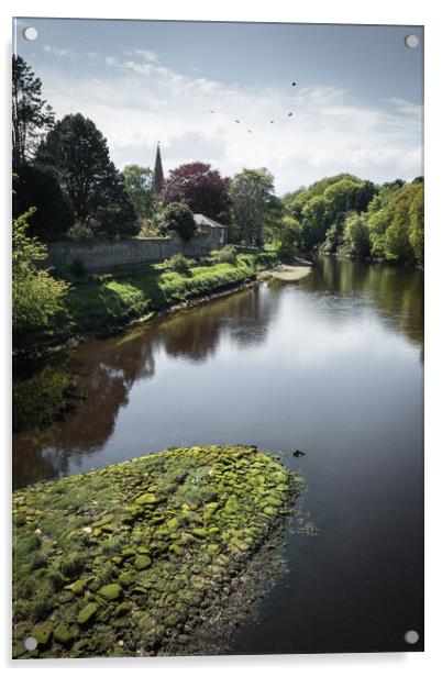 The River Aln at Alnwick, Northumberland Acrylic by Mark Jones