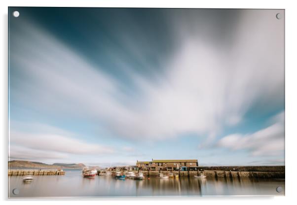 The Harbour, Lyme Regis Acrylic by Mark Jones