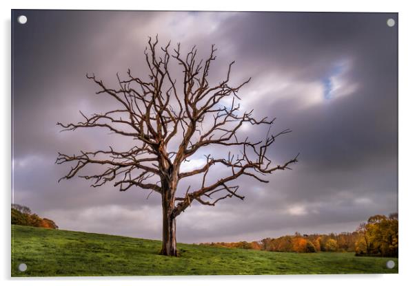 The Dead Tree in Autumn. Acrylic by Mark Jones