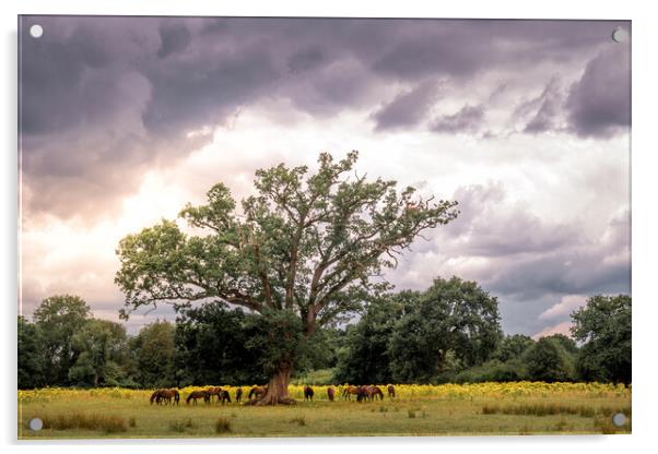 Stork Nest Tree Acrylic by Mark Jones