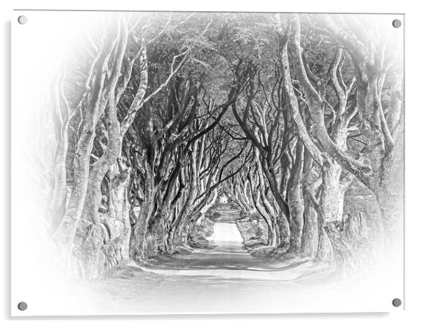 The Dark Hedges of Stranocum in Northern Ireland Acrylic by Erik Lattwein