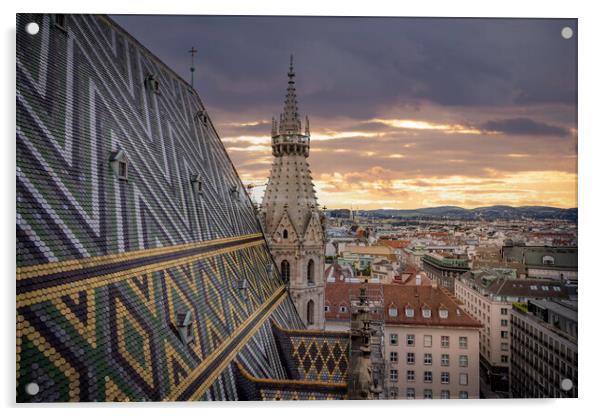 View over the city of Vienna from the top of St Stephans Cathedral Acrylic by Erik Lattwein