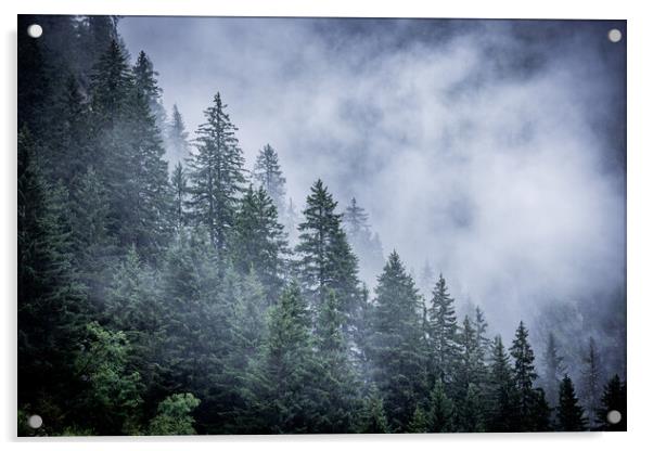 Mist in the fir tree forest of the Austrian Alps - great mountain view Acrylic by Erik Lattwein