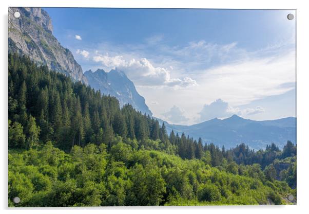 Wonderful nature and landscapes in Switzerland - t Acrylic by Erik Lattwein