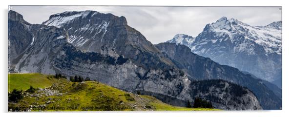 Wonderful panoramic view over the Swiss Alps Acrylic by Erik Lattwein