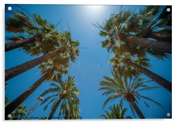 Palm Trees against a blue sky perfect holiday feeling Acrylic by Erik Lattwein