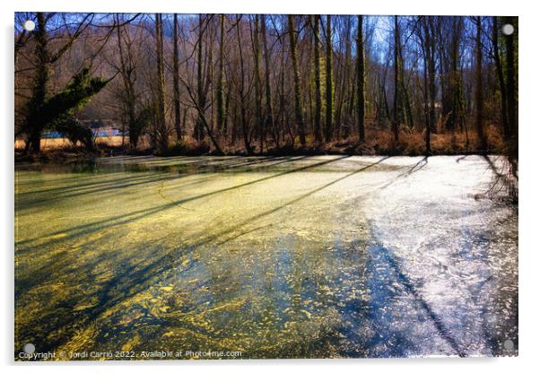 La Moixina wetlands in winter, La Garrotxa - 4 - Acrylic by Jordi Carrio
