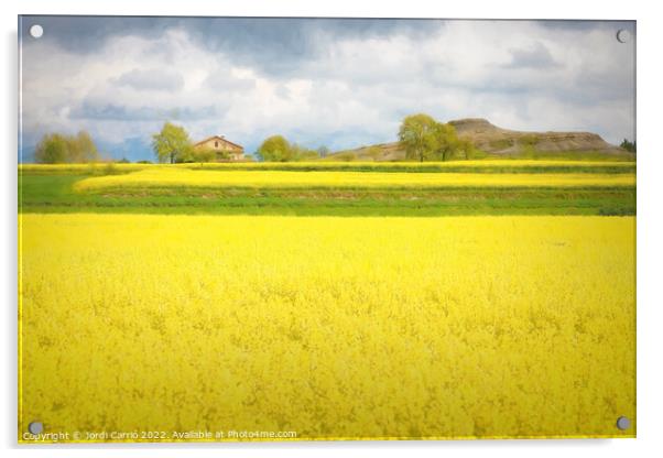 Yellow Fields of Malla - CR2105-5277-PIN Acrylic by Jordi Carrio