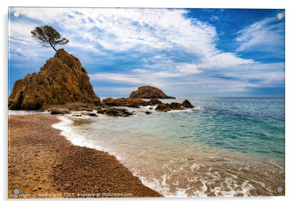 Mar Menuda Beach, Costa Brava - Orton glow Edition  Acrylic by Jordi Carrio