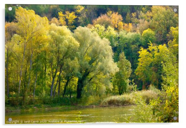 Autumn landscapes in the river Ter. Osona, Catalon Acrylic by Jordi Carrio