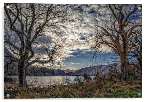Haunted trees overlooking Derwent Water Acrylic by Scott Somerside