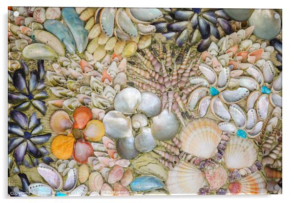 A Collection of Aquatic Treasures Acrylic by Simon Marlow