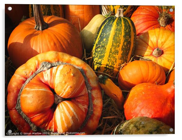 Autumn Squashes and Pumpkins Acrylic by Simon Marlow