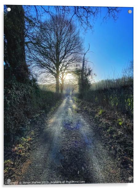 Serene Winter Path Acrylic by Simon Marlow