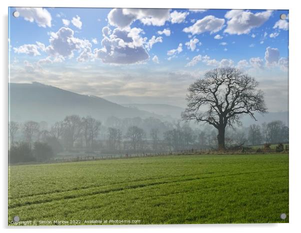 Shropshire landscape Acrylic by Simon Marlow