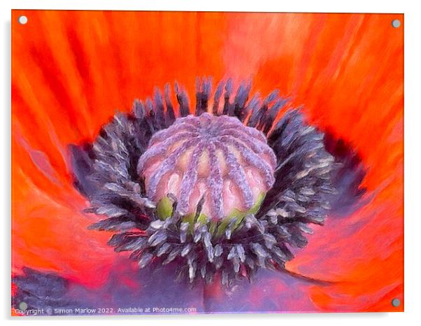 Close up of a Poppy flower Acrylic by Simon Marlow
