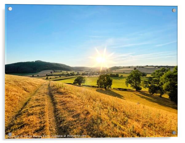 Summer Shropshire Landscape Acrylic by Simon Marlow