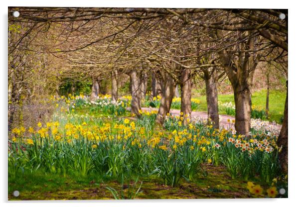 Bursting into Spring Acrylic by Simon Marlow