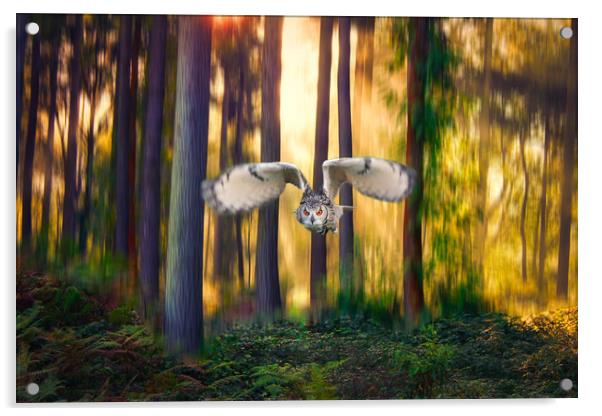 Majestic flight of the European Eagle Owl Acrylic by Simon Marlow