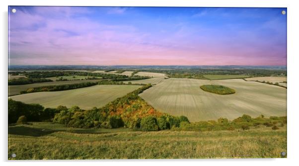 Wide open landscape taken at Inkpen, Berkshire Acrylic by Simon Marlow