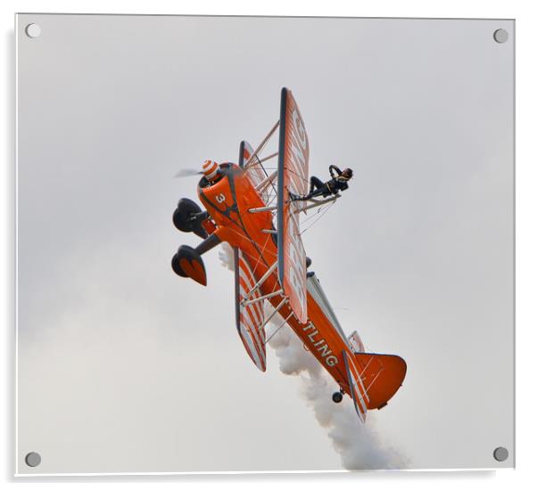Thrilling Wing Walking Extravaganza Acrylic by Simon Marlow