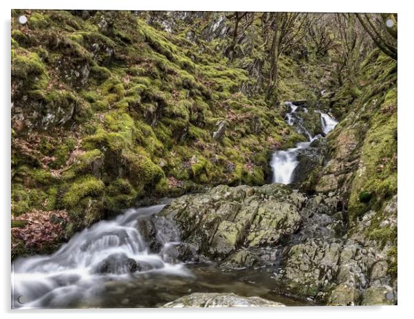 Stream running down in the Elan Valley, Wales Acrylic by Simon Marlow