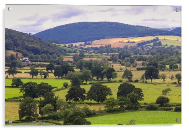 South Shropshire landscape of the Clun Valley Acrylic by Simon Marlow