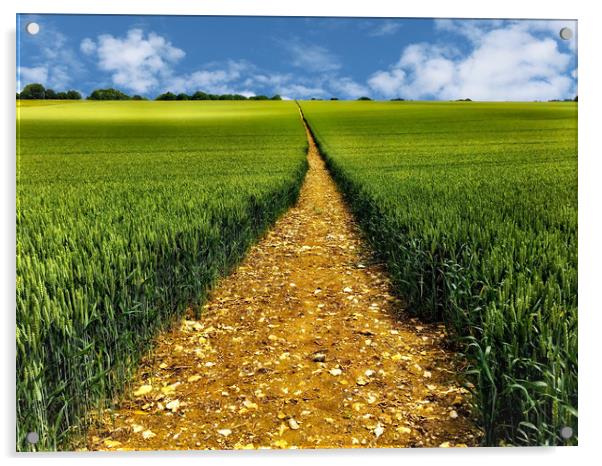 A Golden Trail Through a Bountiful Wheat Field Acrylic by Simon Marlow