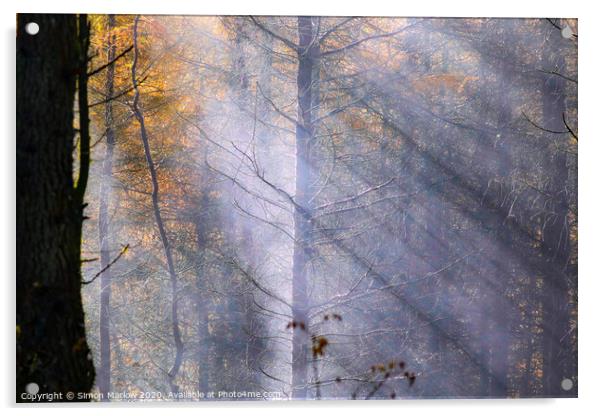 Rays of sunlight through autumn trees Acrylic by Simon Marlow