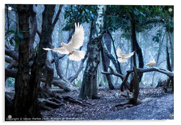 Majestic White Doves Acrylic by Simon Marlow
