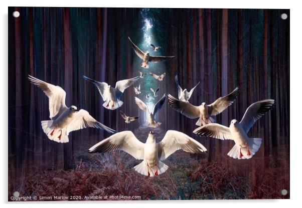 Gulls in the dark forest Acrylic by Simon Marlow