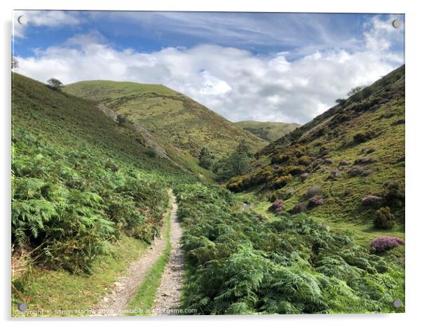 A walk through the valley at Long Mynd Acrylic by Simon Marlow