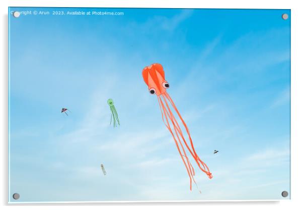 Kite Festival Acrylic by Arun 