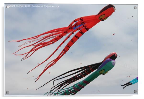 Kite Festival Acrylic by Arun 