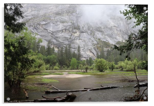 Yosemite in Spring, Mirror lake Acrylic by Arun 