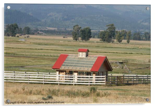 Farm house at Yellowstone national park in Wyoming USA Acrylic by Arun 