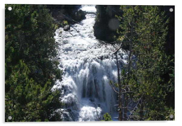 Waterfall at Yellowstone national park in Wyoming USA Acrylic by Arun 