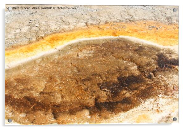 Sulfur Geysers at Yellowstone national park in Wyoming USA Acrylic by Arun 